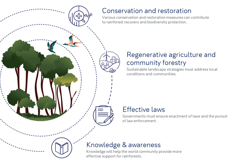 Our Mission to Protect the World's Forests